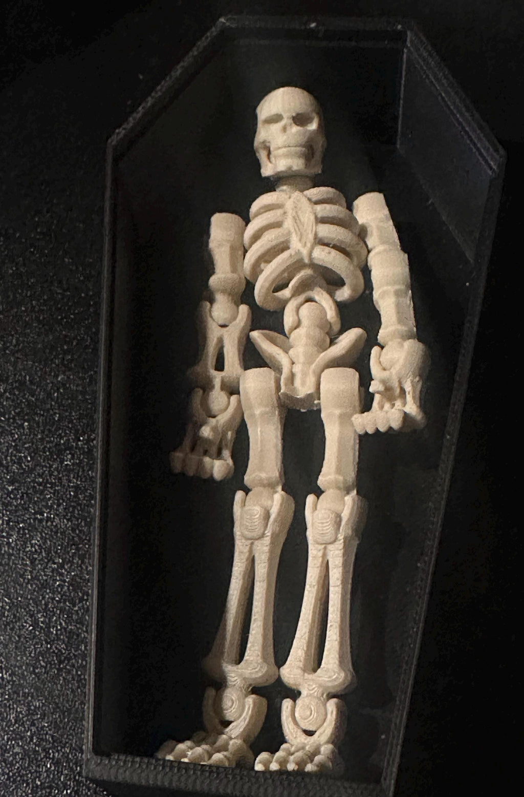 Close-up of 3D printed skeleton buddy figure lying inside black coffin
